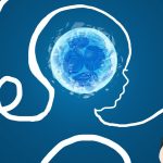 فریز جنین